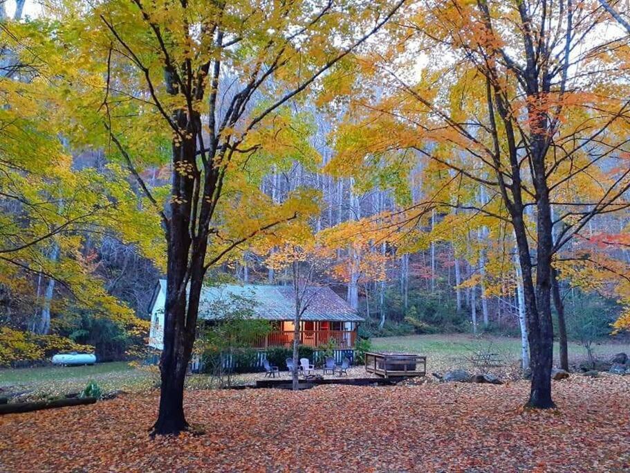 فيلا مدينة كليرمونتفي Creekside 1920'S Farmhouse المظهر الخارجي الصورة