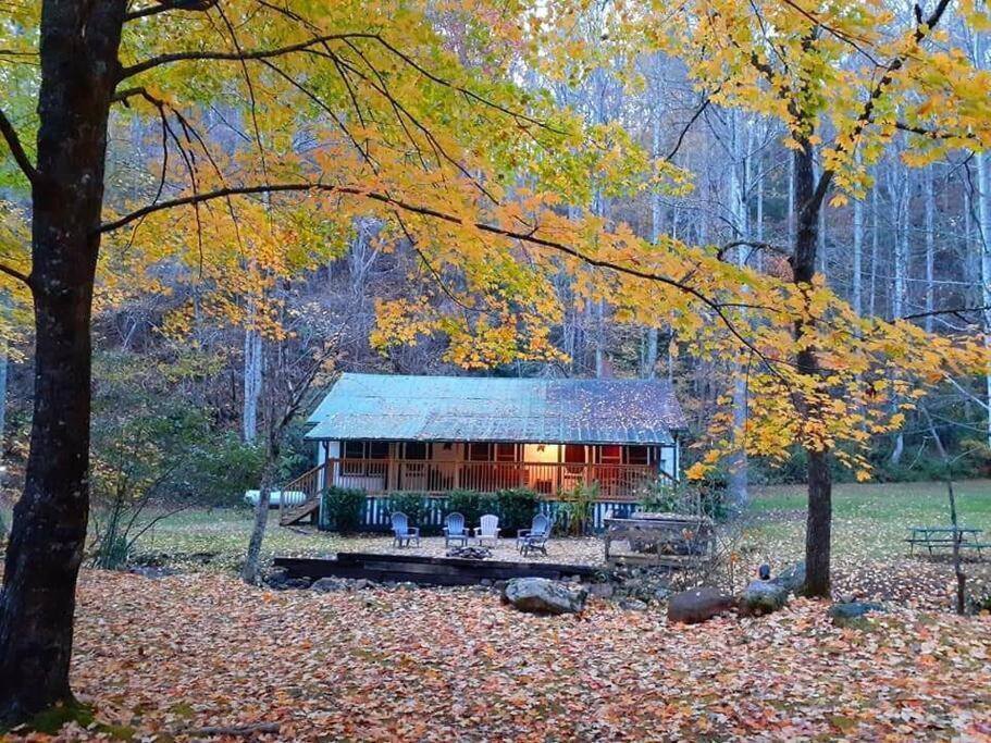 فيلا مدينة كليرمونتفي Creekside 1920'S Farmhouse المظهر الخارجي الصورة